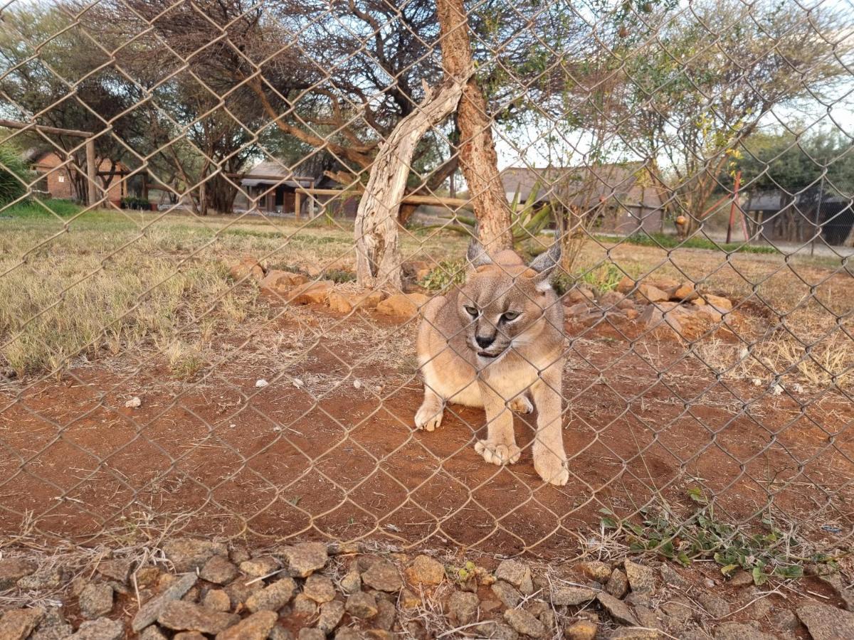 Sundowners Game Lodge Marble Hall エクステリア 写真